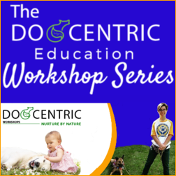 Dogcentric Workshops