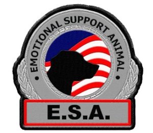 emotional support dog esa animal patch patches metallic service selection training minneapolis